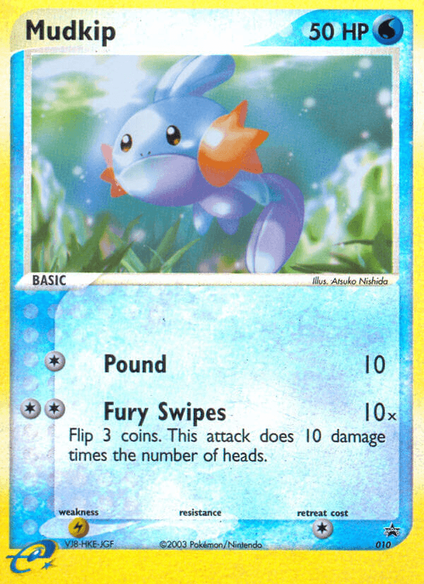 Mudkip