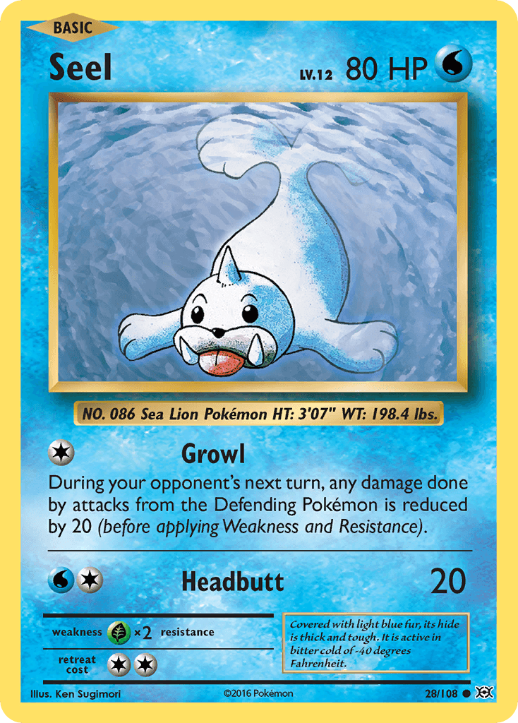 Seel